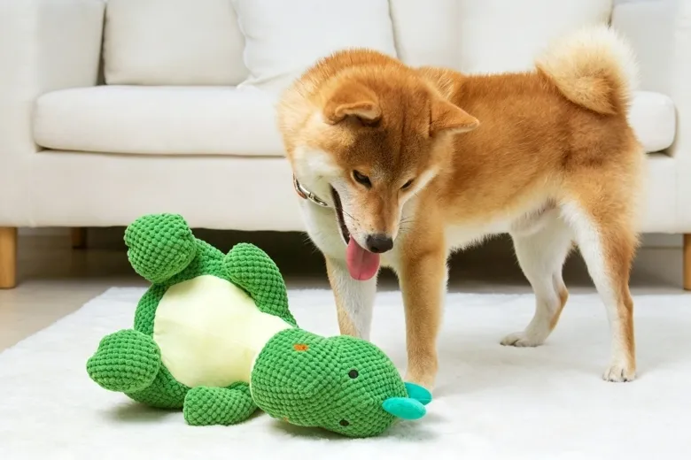 The Importance of Play: Why Every Pet Needs Quality Toys
